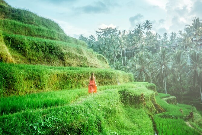 Enchanting Bali Tour with the Best Driver | All Included - Tegenungan Waterfall: The One Stop That Turns Hot Weather Into Fun