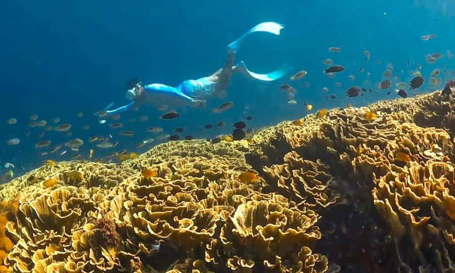 Exclusive 4 Secret Gilis: Petagan, Bidara, Kapal, and Kondo - Gili Bidara and Big View Breaks: Reef Time Plus Sunrise-Point Scenery