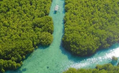 Exclusive 4 Secret Gilis: Petagan, Bidara, Kapal, and Kondo - Gili Petagan Mangroves: Calm Waterways and a Helpful Why-This-Matters Story