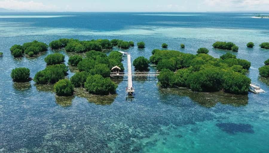 Exclusive 4 Secret Gilis: Petagan, Bidara, Kapal, and Kondo - Private Boat, Gear, and English Guides: What You Actually Get