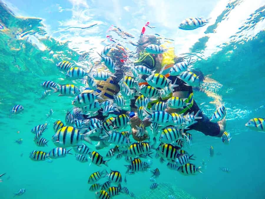 Exclusive Gili Nanggu, Sudak, and Kedis Tour Featuring GoPro - Gili Sudak beach lunch: what you’re paying for and what you’ll taste