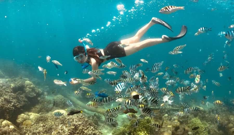 Exclusive Gili Nanggu, Sudak, and Kedis Tour Featuring GoPro - The GoPro advantage: how the footage becomes a memory (not a chore)