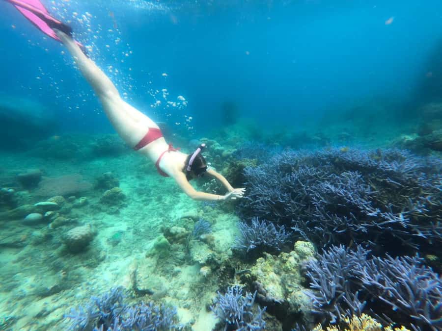 Exclusive Lombok Fishing & Snorkeling Tour Across 4 Gilis - Gili Layar snorkeling: reef time when conditions are right