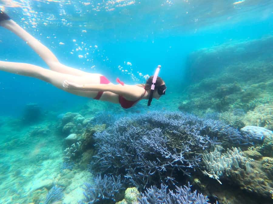 Exclusive Lombok Fishing & Snorkeling Tour Across 4 Gilis - Gili Asahan: beach time on the bigger island