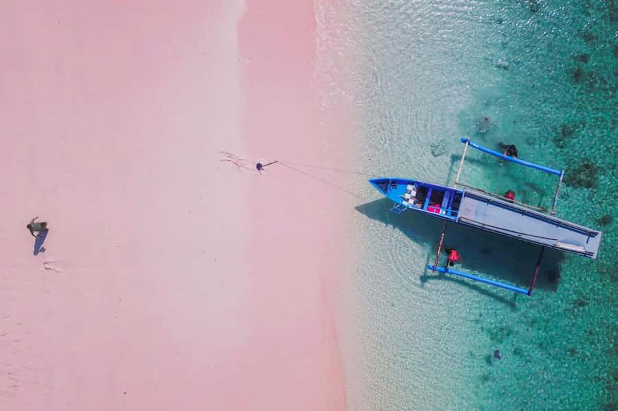 Exclusive One-Day Tour to Lombok's Pink Beach and 3 Gilis - Key points before you go