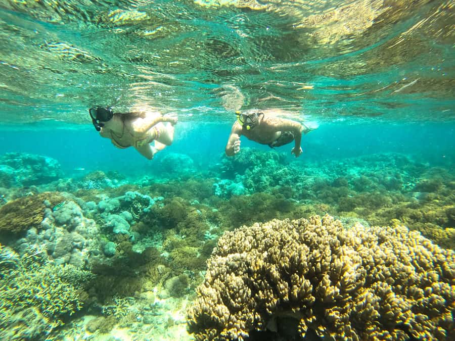 Exclusive One-Day Tour to Lombok's Pink Beach and 3 Gilis - Who this tour fits best (and who should skip it)