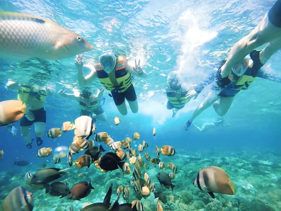 Exclusive One-Day Tour to Lombok's Pink Beach and 3 Gilis - Your one-day route: Lombok’s Pink Beaches plus two Gilis