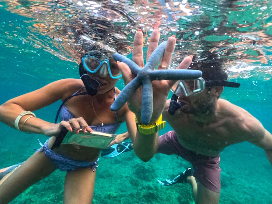 Exclusive One-Day Tour to Lombok's Pink Beach and 3 Gilis - What to bring: the small items that save your day