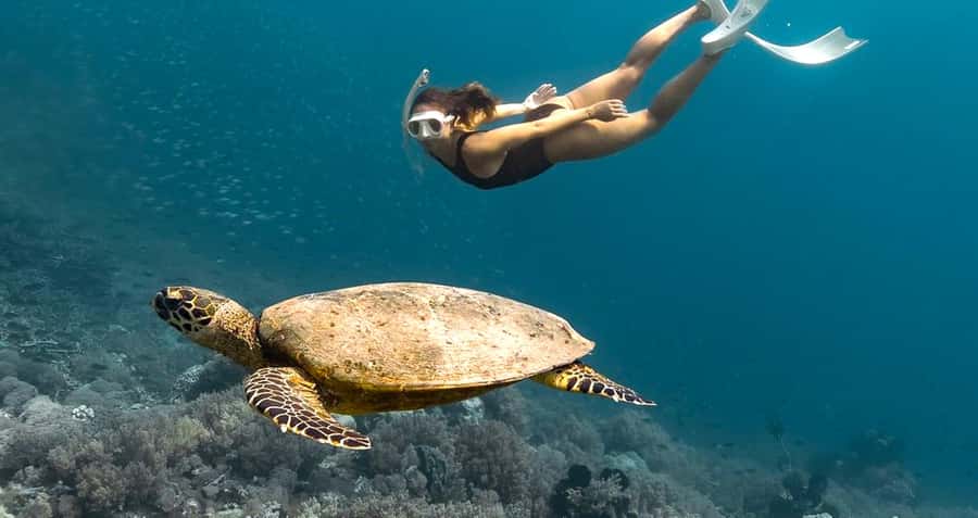 Exclusive Snorkeling Experience to Gili Gede and 4 Gilis - Key highlights you’ll feel on the water