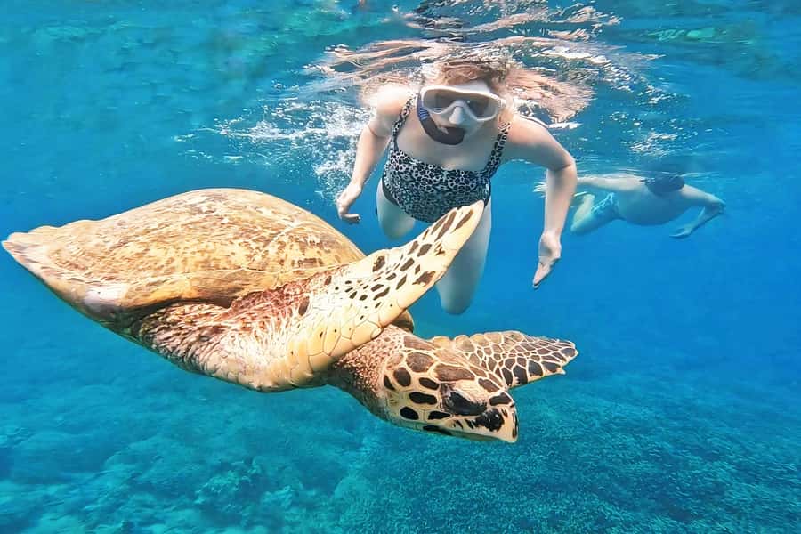 Exclusive Snorkeling Experience to Gili Gede and 4 Gilis - Sekotong Pickup and the 8:00 AM Start: How the day flows