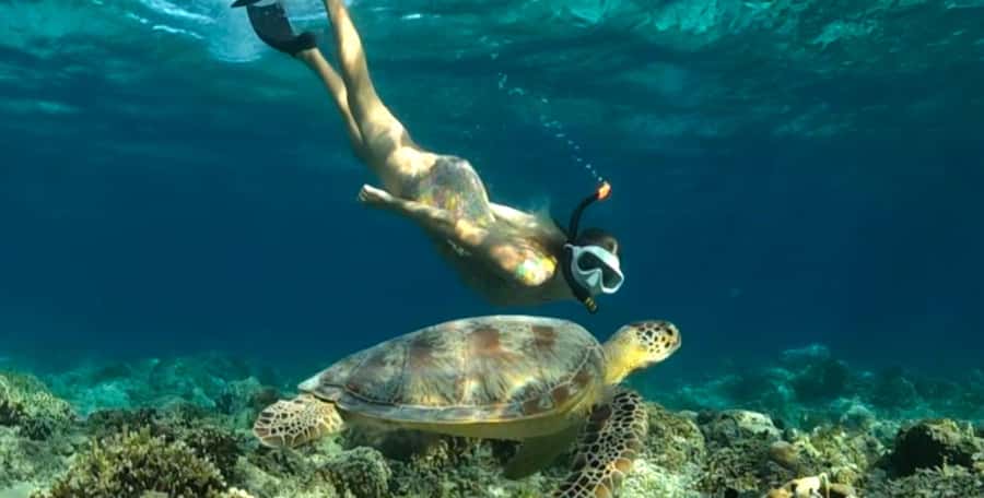 Exclusive Snorkeling Experience to Gili Gede and 4 Gilis - Gili Gede’s unspoiled coral: short stop, big payoff