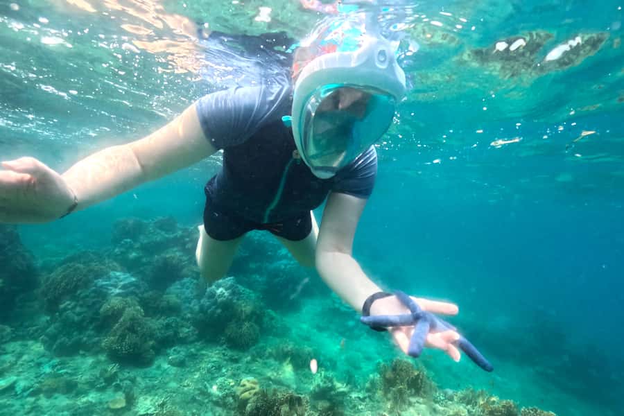 Exclusive Snorkeling Experience to Gili Gede and 4 Gilis - Price and value: is $49 for five Gilis a fair deal?