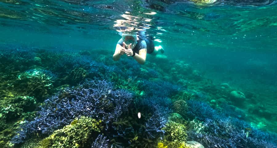 Exclusive Snorkeling Experience to Gili Gede and 4 Gilis - Pelangan Harbor to Gili Layar: the reef-focused centerpiece