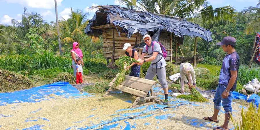 Exclusive Tetebatu: Waterfall, Rice Fields, Monkey & Weaving - Key Things to Know Before You Go