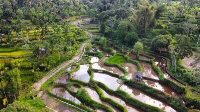 Exclusive Tetebatu: Waterfall, Rice Fields, Monkey & Weaving - Tetebatu Waterfall: The Main Scene, Up Close