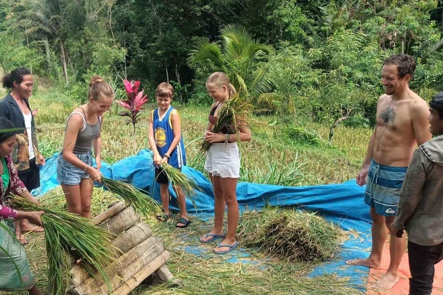 Exclusive Tetebatu: Waterfall, Rice Fields, Monkey & Weaving - Price and Value: Why This Tour Works for an Efficient Lombok Day