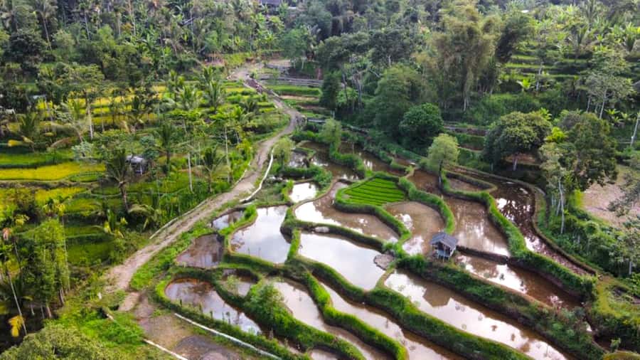 Exclusive Tetebatu: Waterfall, Rice Fields, Monkey & Weaving - Tetebatu Waterfall: The Main Scene, Up Close