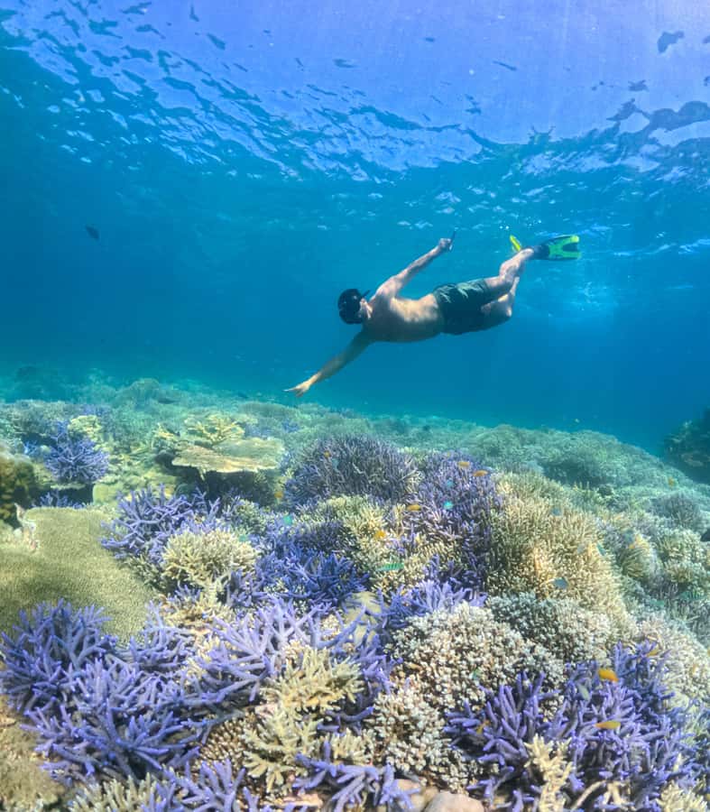 Exclusive Tour:Gili Nanggu, Sudak & Kedis Free Lunch + GoPro - Key highlights that make this tour worth your attention