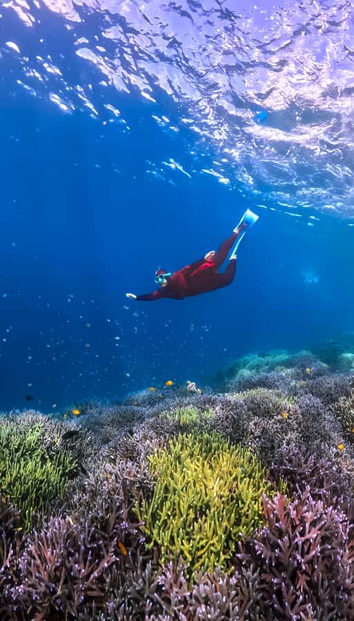 Exclusive Tour:Gili Nanggu, Sudak & Kedis Free Lunch + GoPro - Gili Sudak: More Swimming and Snorkeling Time