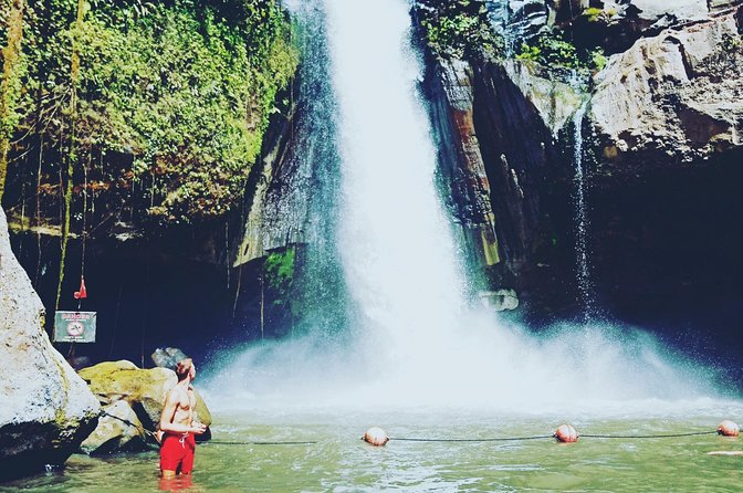 Exclusive Ubud Day Tour - Key highlights at a glance