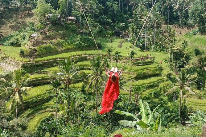 Exclusive Ubud Day Tour - Sacred Monkey Forest Sanctuary: temple grounds and a holy reserve