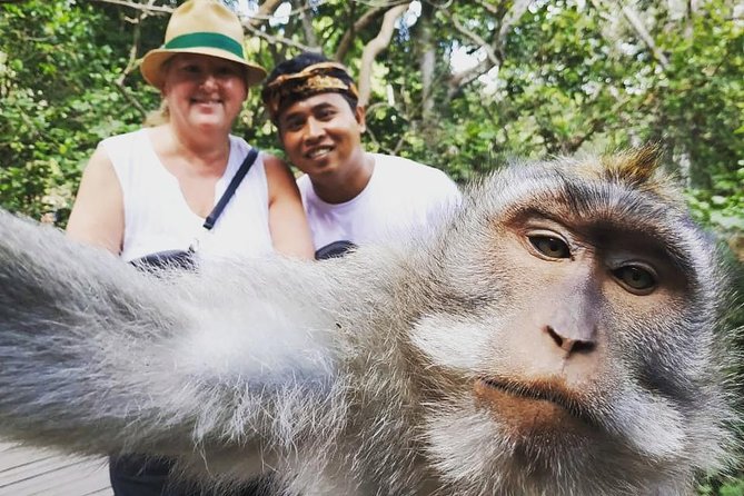 Exclusive Ubud Day Tour - Price and what $25 really buys you