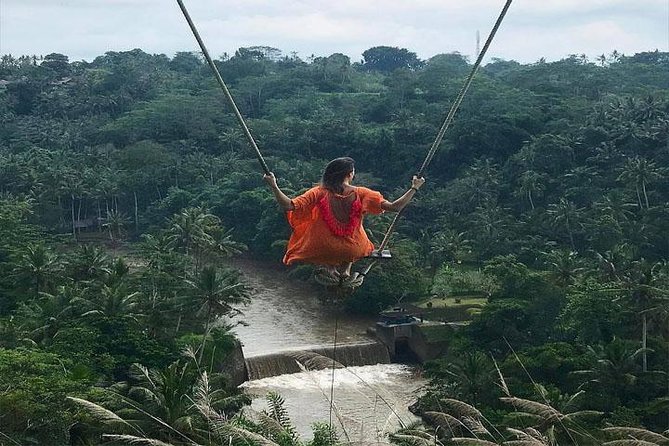 Experience Full Day to Bali Swing Temple and Monkey Forest - Key Highlights You’ll Care About