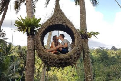 Experience Full Day to Bali Swing Temple and Monkey Forest - Door-to-Door Pickup and English-Speaking Driver: Where Time Gets Saved