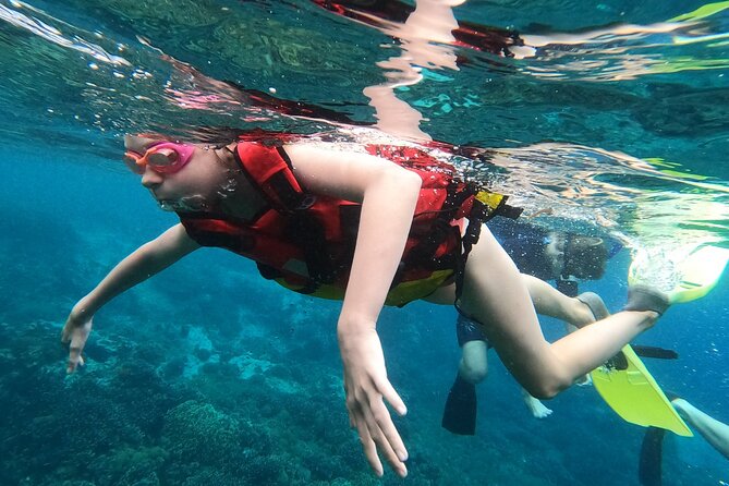Experience Snorkeling in Sanur - Best for Kids, Amateur Swimmers, and Anyone Who Prefers Ease