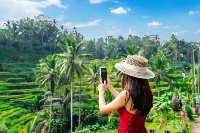 Explore Bali in 3 Days – Custom Itinerary - Private Tour - Day 1 in Ubud: Monkey Forest, Rice Terraces, and Tegenungan Waterfall
