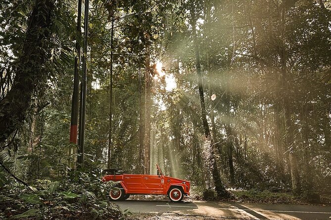Explore Bali's Hidden Gems In a Classic Vw Convertible - Guides, Photos, and Comfort Tips in the Convertible