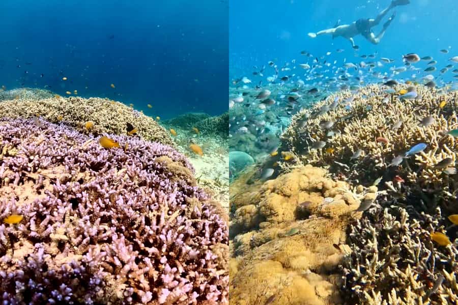 Explore Hidden Gili's Lombok : Gili Asahan,Gede,Goleng,Layar - What to Bring (So You’re Ready for Sand + Salt)