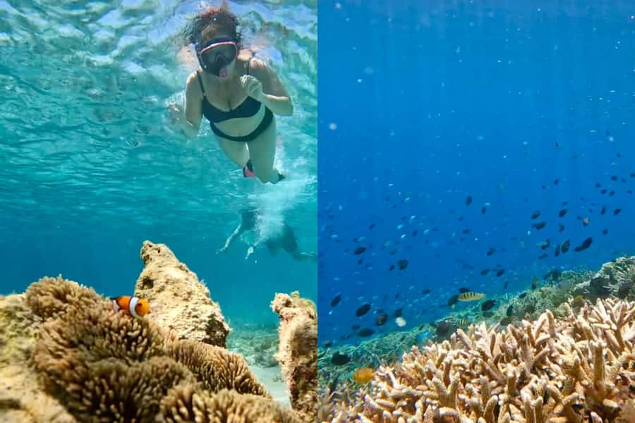Explore Hidden Gili's Lombok : Gili Asahan,Gede,Goleng,Layar - Gili Layar Lunch Break: Eat, Swim, Repeat