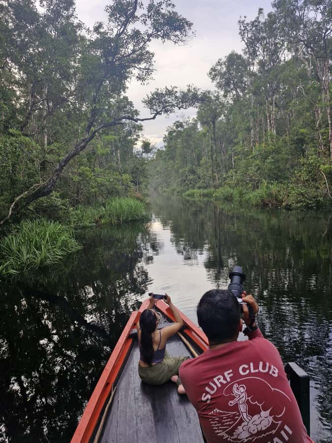 Explore Jungle in Borneo and Orangutan Kelotok Tour 3D/2N - Key Things I’d Plan Around