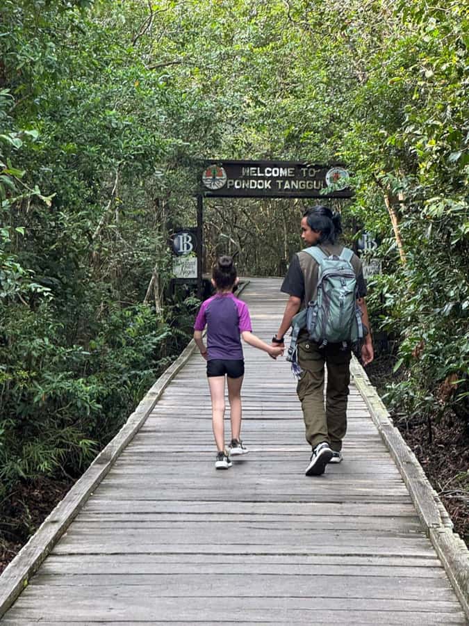 Explore Jungle in Borneo and Orangutan Kelotok Tour 3D/2N - Day 2: Orangutan Morning, Pondok Tanggui, and Camp Leakey