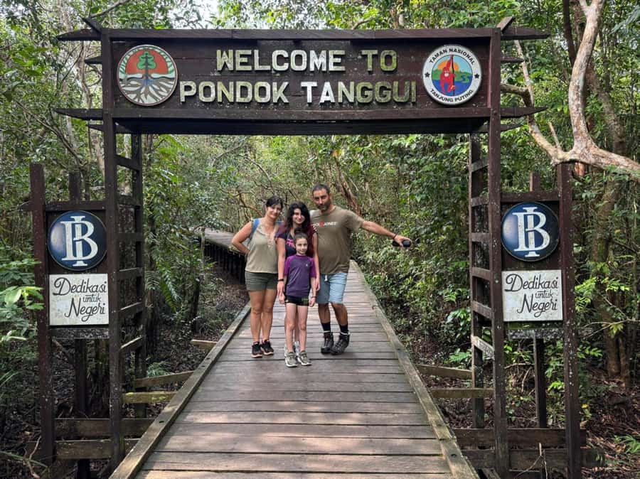 Explore Jungle in Borneo and Orangutan Kelotok Tour 3D/2N - What Wildlife Watching Feels Like Here (Not Just What You Might See)