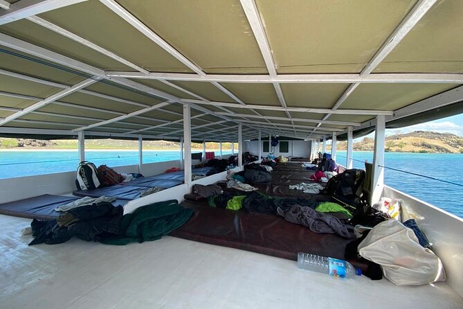 Explore Komodo and Swim with Whale Sharks - Whale shark day: what the swimming stop is really about