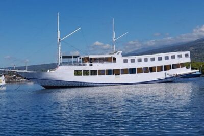 Explore Komodo and Swim with Whale Sharks - Getting from Lombok to Flores: your entry point matters