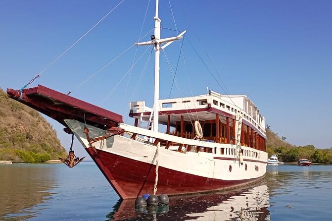 Explore Komodo and Swim with Whale Sharks - Komodo and Rinca: dragons, pink sand, and a day with real weight