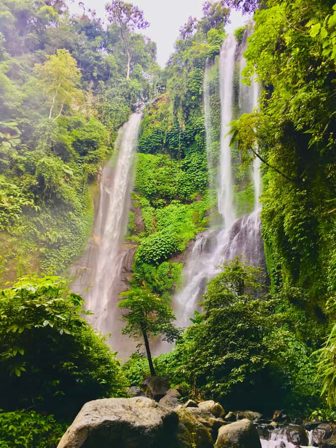 Explore Munduk Customized 8 Hours Day Tour In The North Bali - Key Points You’ll Actually Care About