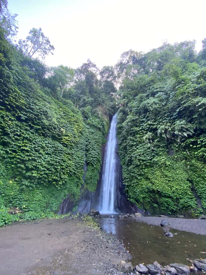 Explore Munduk Customized 8 Hours Day Tour In The North Bali - Coffee Plantation Experience: Not a Detour, a Real Reset