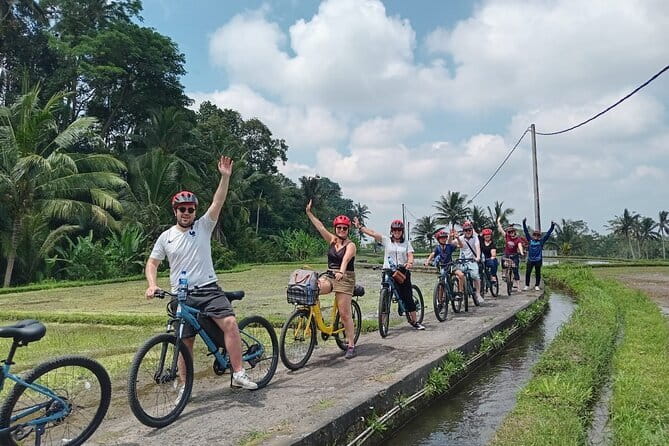 Explore Rice Fields and Hidden Villages with Ubud E-Bike Tour - Key highlights to plan for