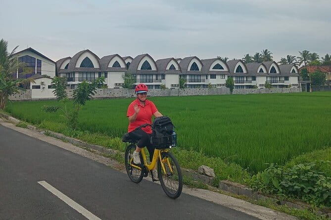 Explore Rice Fields and Hidden Villages with Ubud E-Bike Tour - An Ubud E-Bike Route Built Around Rice, Temples, and Coffee