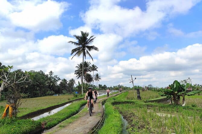 Explore Rice Fields and Hidden Villages with Ubud E-Bike Tour - Stop 2 on Jalan Pejengaji: A Balinese Temple Visit with Architecture and Spirit