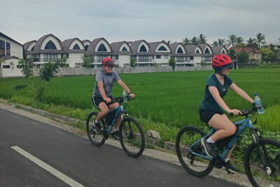 Explore Rice Fields and Hidden Villages with Ubud E-Bike Tour - Getting Started: Pickup, Private Group, and Your E-Bike Setup