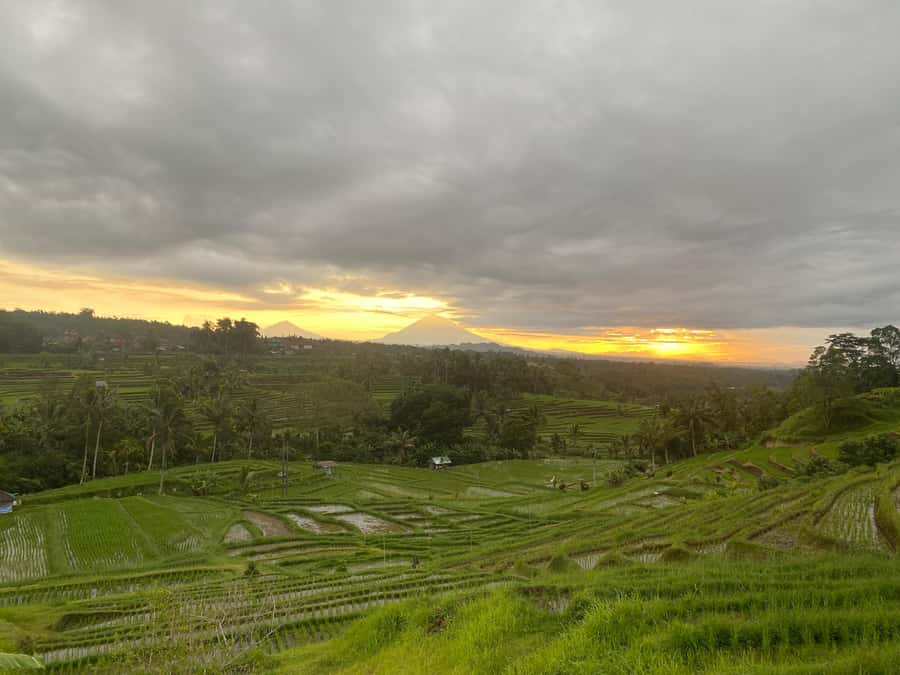 Explore rice terraces munduk & waterfall trekking experience - Price and Value: Is $32 Worth It?