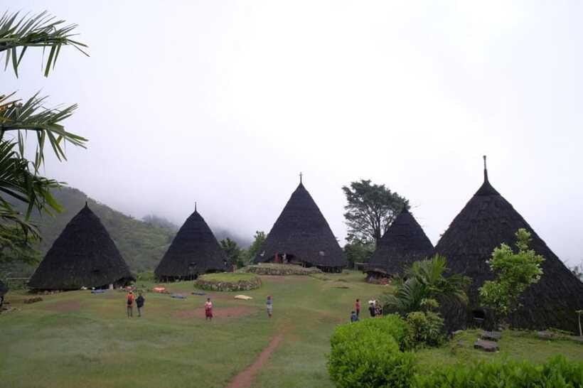 Explore Traditional Village of WAE REBO 2D/1N Shared Tour - Who This Tour Suits Best (And Who Might Struggle)