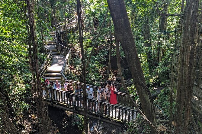 Explore Ubud Art Market, Monkey Forest and Rice Terraces - Sacred Monkey Forest Sanctuary: temples, trees, and the real show