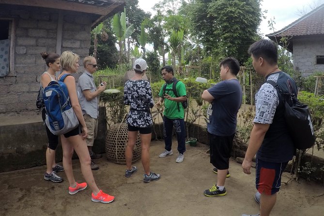 Explore Ubud with Electric Bike - Why This Electric Bike Route Works So Well in Ubud