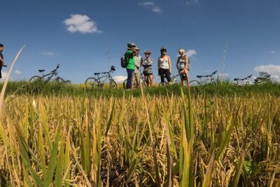 Explore Ubud with Electric Bike - What’s Included for $34: Food, Gear, and Queue-Saving Convenience